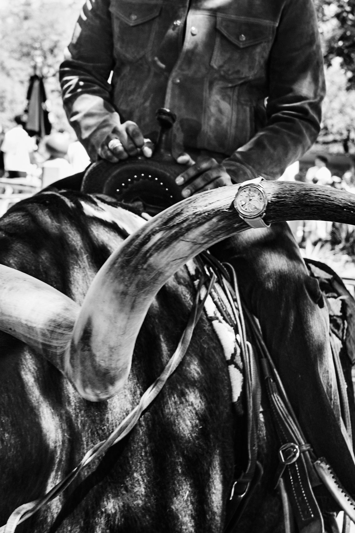 Leon Bridges by Ellen von Unwerth